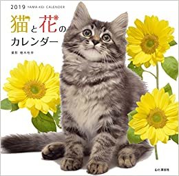 ダウンロード  カレンダー2019 猫と花のカレンダー (ヤマケイカレンダー2019) 本