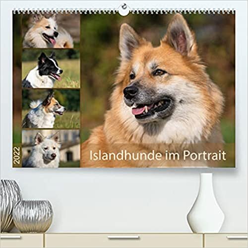 Islandhunde im Portrait (Premium, hochwertiger DIN A2 Wandkalender 2022, Kunstdruck in Hochglanz): Kennzeichnend fuer Islandhunde sind die verschiedensten Fellfarben und Farbmuster. (Monatskalender, 14 Seiten )