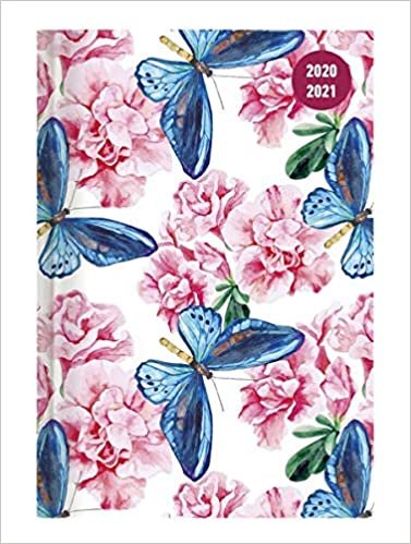 Collegetimer Butterfly 2020/2021 - Schüler-Kalender A6 (10x15 cm) - Schmetterling - Weekly - 224 Seiten - Terminplaner - Alpha Edition (Collegetimer A6 Weekly) indir