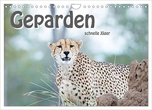 ダウンロード  Geparden - schnelle Jaeger (Wandkalender 2023 DIN A4 quer): Die schnellsten, landlebenden Raubtiere in unglaublicher Schoenheit (Monatskalender, 14 Seiten ) 本