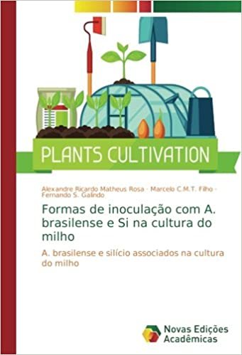 Formas de inoculação com A. brasilense e Si na cultura do milho: A. brasilense e silício associados na cultura do milho indir