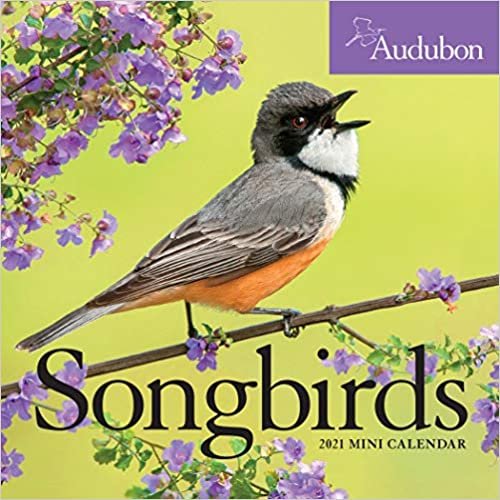 Audubon Songbirds 2021 Calendar