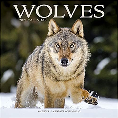 ダウンロード  Wolves 2021 Calendar 本