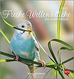 تحميل Freche Wellensittiche Postkartenkalender 2023