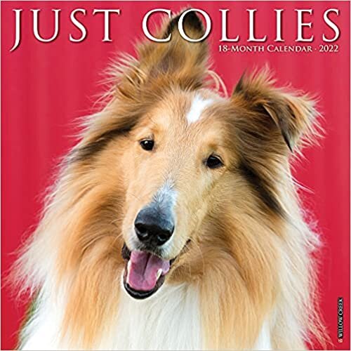اقرأ Just Collies 2022 Wall Calendar (Dog Breed) الكتاب الاليكتروني 