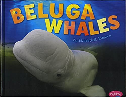 indir Beluga Whales (Sea Life)