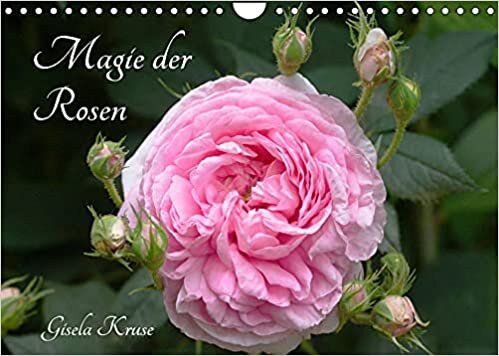 Magie der Rosen (Wandkalender 2022 DIN A4 quer): Die nie aufhoerende Anziehungskraft von Rosen (Monatskalender, 14 Seiten ) ダウンロード