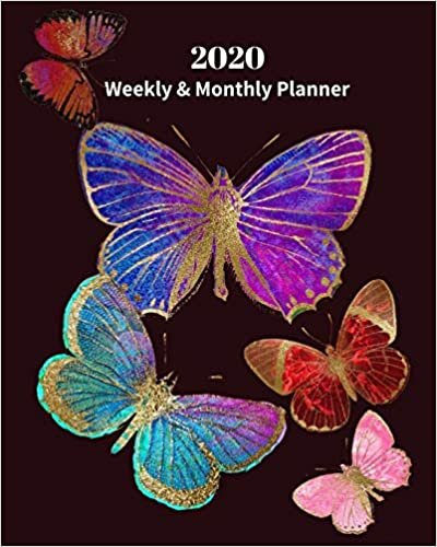 indir 2020 Weekly and Monthly Planner: Monthly Calendar with U.S./UK/ Canadian/Christian/Jewish/Muslim Holidays– Calendar in Review/Notes 8 x 10 in.-Colorful Butterflies Nature Insects