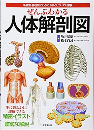 ぜんぶわかる人体解剖図―系統別・部位別にわかりやすくビジュアル解説 ダウンロード