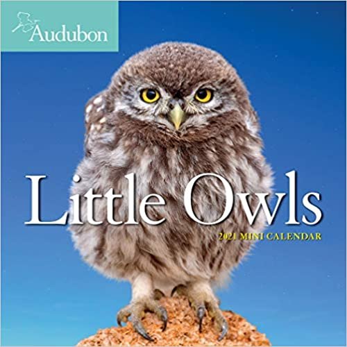 Audubon Little Owls 2021 Calendar