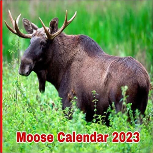 ダウンロード  Moose Calendar 2023 本