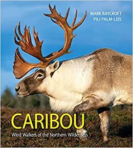 تحميل Caribou: Wind Walkers of the Northern Wilderness
