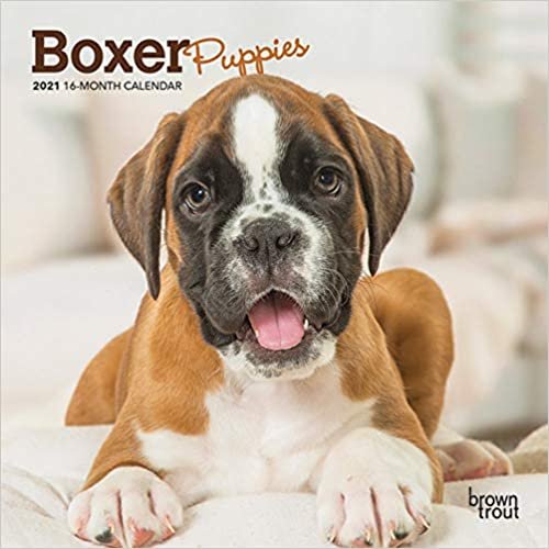 ダウンロード  Boxer Puppies 2021 Calendar 本