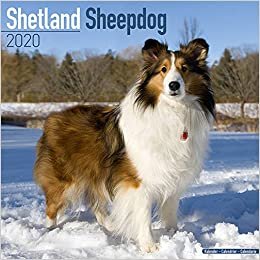 ダウンロード  Shetland Sheepdog Calendar 2020 本