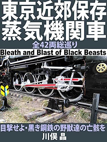 ダウンロード  東京近郊保存蒸気機関車全42両総巡り: 目撃せよ・黒き鋼鉄の野獣達の亡骸を 本