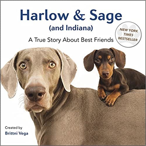 ダウンロード  Harlow & Sage (and Indiana): A True Story About Best Friends 本