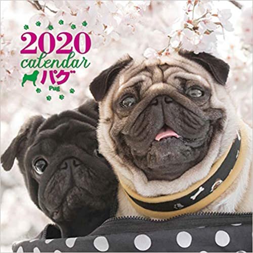 ダウンロード  2020年 大判カレンダー パグ ([カレンダー]) 本