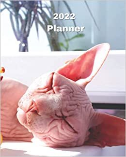 2022 Planner: Sphynx Cat - 12 Month Weekly and Monthly Planner January 2022 to December 2022 -Monthly Calendar with U.S./UK/ ... 8 x 10 in.- Cats Breed Pets Kittens indir