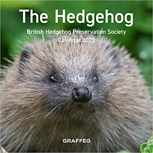 The Hedgehog Calendar 2023