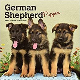 ダウンロード  German Shepherd Puppies 2020 Calendar 本