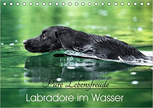 Labradore im Wasser (Tischkalender 2021 DIN A5 quer): Labbis in ihrem Element! Die Begeisterung dieser Hunde fuers Wasser ist hier im richtigen Moment festgehalten. Die wunderschoenen Naturplaetze machen den Kalender zum Hingucker. (Monatskalender, 14 Sei