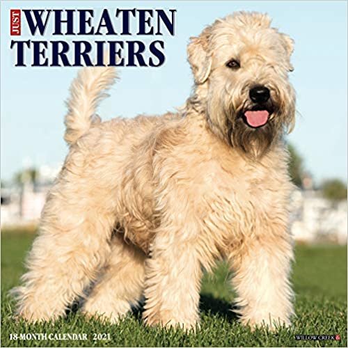 indir Just Wheaton Terriers 2021 Calendar