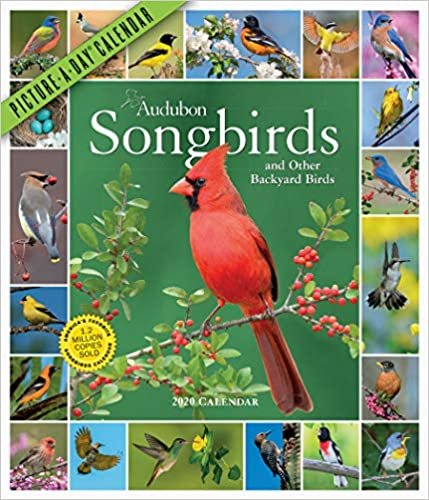 Audubon Songbirds and Other Backyard Birds