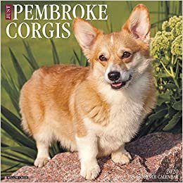 ダウンロード  Just Pembroke Corgis 2020 Calendar 本