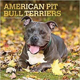 indir American Pit Bull Terriers 2021 - 16-Monatskalender mit freier DogDays-App: Original BrownTrout-Kalender [Mehrsprachig] [Kalender] (Wall-Kalender)