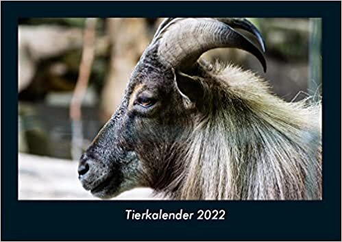 ダウンロード  Tierkalender 2022 Fotokalender DIN A4: Monatskalender mit Bild-Motiven von Haustieren, Bauernhof, wilden Tieren und Raubtieren 本