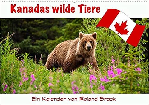 Kanadas Wilde Tiere (Wandkalender 2022 DIN A2 quer): Die wilden Tiere Kanadas vom maechtigen Grizzlybaer bis zur filigranen Libelle (Monatskalender, 14 Seiten )