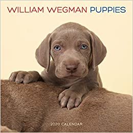ダウンロード  William Wegman Puppies 2020 Wall Calendar 本