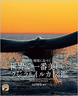 ダウンロード  世界で一番美しい クジラ&イルカ図鑑: 絶景・秘境に息づく (ネイチャー・ミュージアム) 本