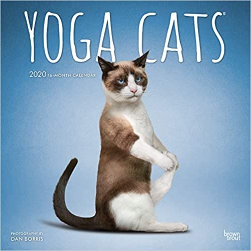 ダウンロード  Yoga Cats 2020 Calendar 本