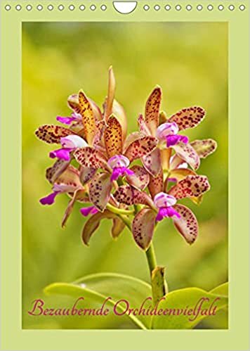Bezaubernde Orchideenvielfalt (Wandkalender 2022 DIN A4 hoch): Ein kunterbuntes Orchideenjahr (Monatskalender, 14 Seiten )