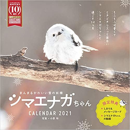まんまるかわいい雪の妖精 シマエナガちゃん CALENDAR 2021 (インプレスカレンダー2021)