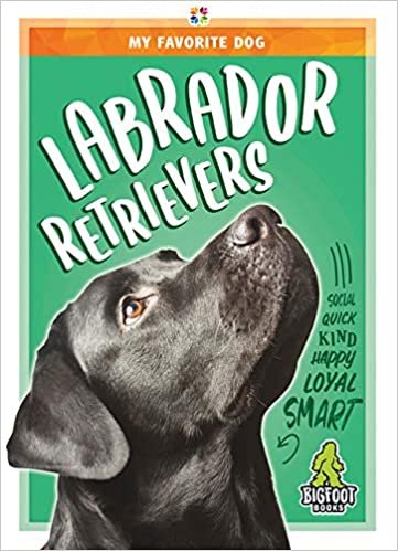 indir Labrador Retrievers (My Favorite Dog)