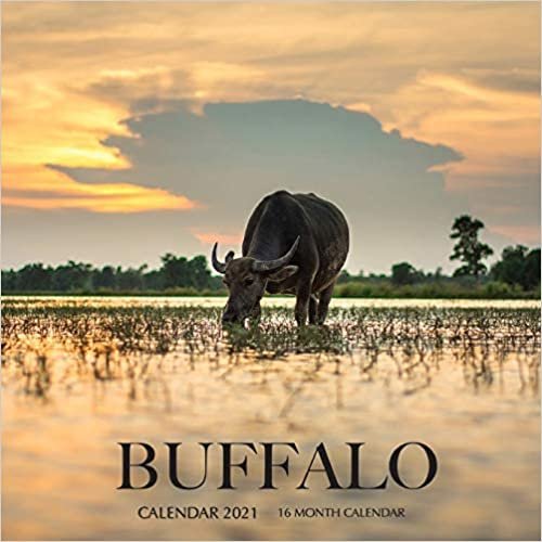 Buffalo Calendar 2021: 16 Month Calendar indir