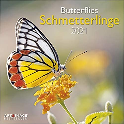 Schmetterlinge 2021 - Wand-Kalender - Broschüren-Kalender - A&I - 30x30 - 30x60 geöffnet: Butterflies indir