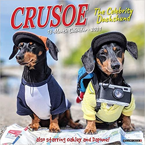 Crusoe the Celebrity Dachshund 2021 Calendar