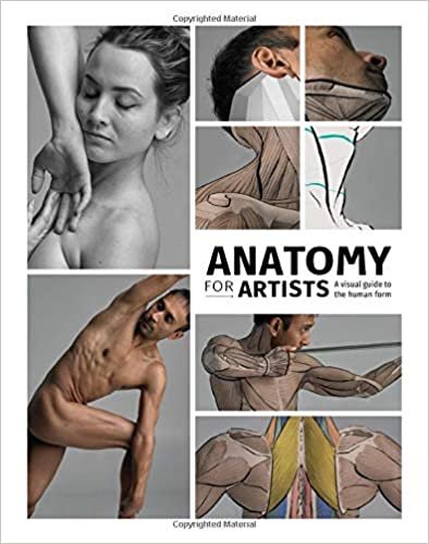 Anatomy for Artists: A visual guide to the human form (3d Total Pub)