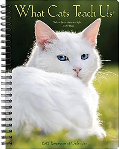 What Cats Teach Us 2023 Engagement Calendar