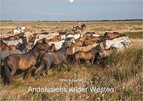 Pferde - Andalusiens wilder Westen (Wandkalender 2021 DIN A2 quer): Marismeños: die Vorfahren der Mustangs (Monatskalender, 14 Seiten )