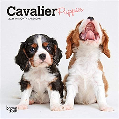 Cavalier King Charles Spaniel Puppies 2021 Calendar