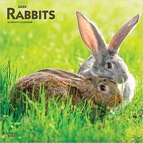 Rabbits 2020 Calendar