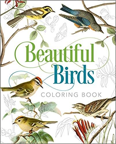 indir Beautiful Birds Coloring Book