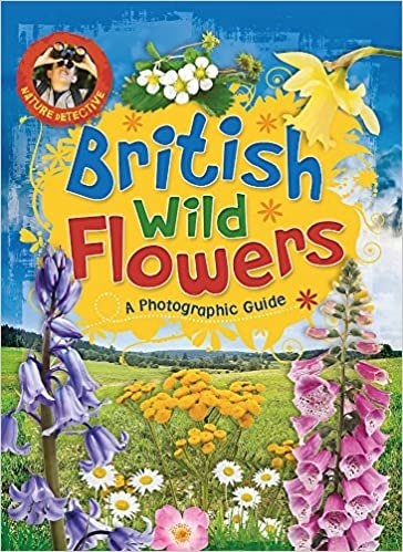 British Wild Flowers (Nature Detective, Band 4) indir