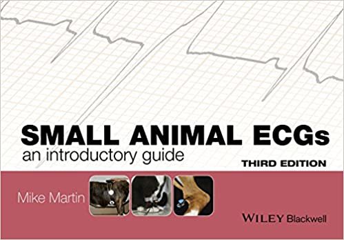 ダウンロード  Small Animal ECGs: An Introductory Guide 本