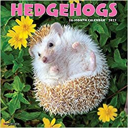 indir Hedgehogs 2021 Calendar