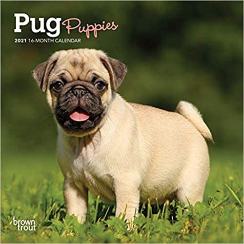 ダウンロード  Pug Puppies 2021 Calendar 本